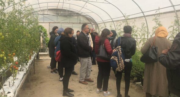 Formation en “Horticultures sous serres” pour les adhérents à UNObio