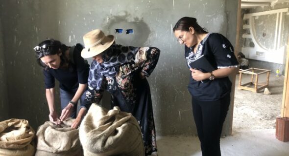 Visite de suivi de la parcelle des épices  en conversion vers le bio à Beni ayech Korba